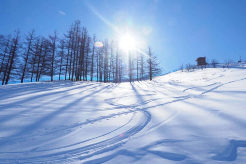 雪地