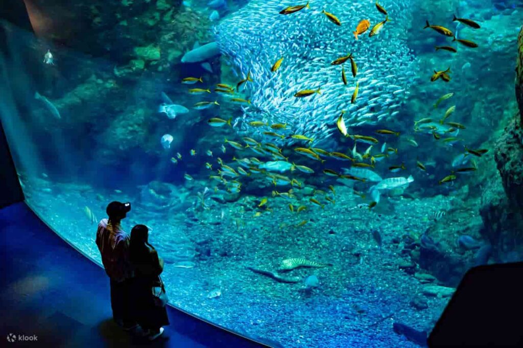 EnoshimaAquariumTicketinFujisawa