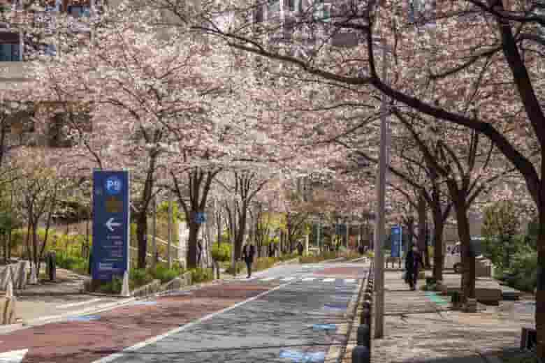 Sakurazaka Roppongi 780x520 1