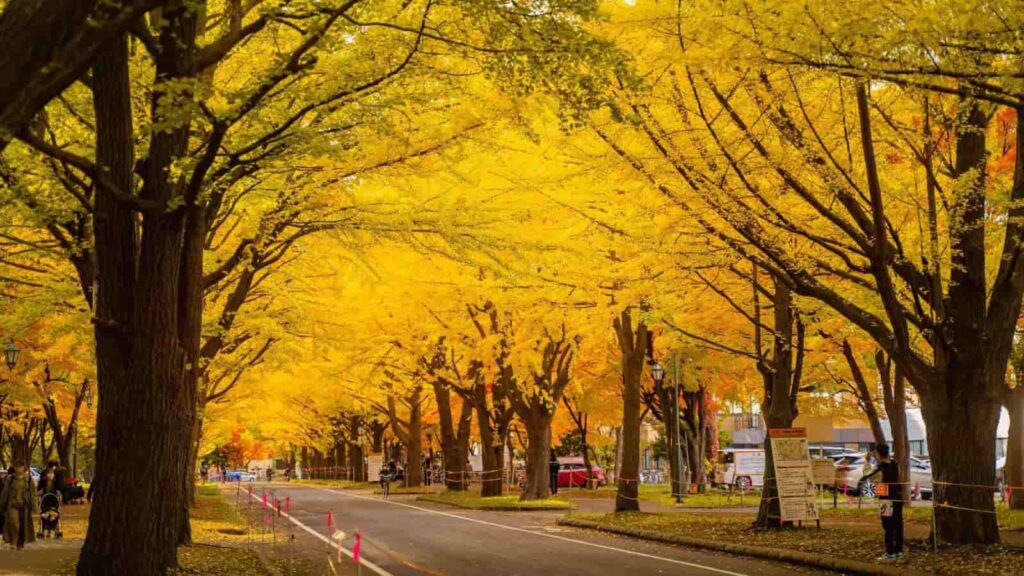 spot hokkaidouniversity 03 1600x900 1