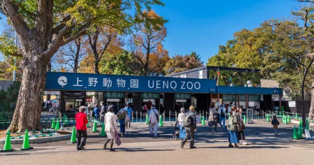 tokyo ueno zoo 208368