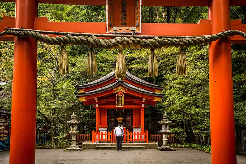 Hakone Shrine Looking through torii