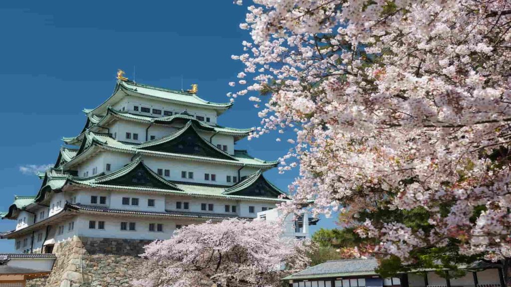 Featured image Nagoya in Sakura season