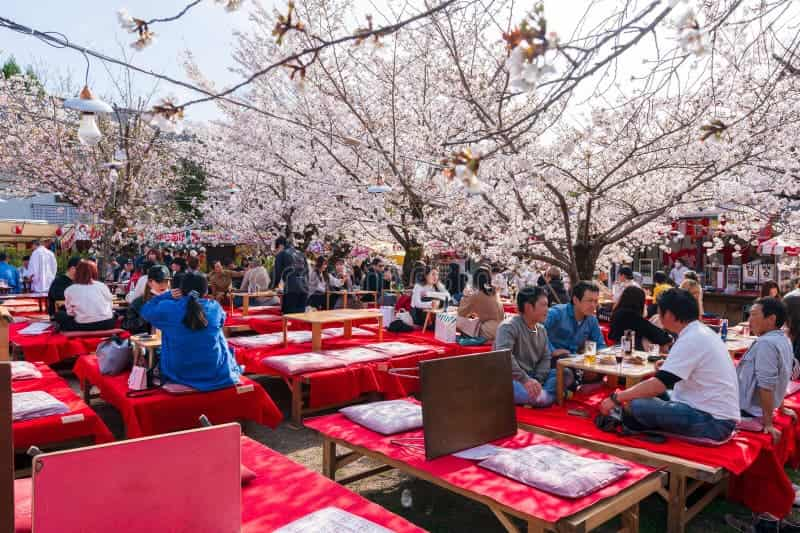 cherry blossom festival maruyama park kyoto japan kyoto japan march crowds people come to cherry blossom festival 304393476