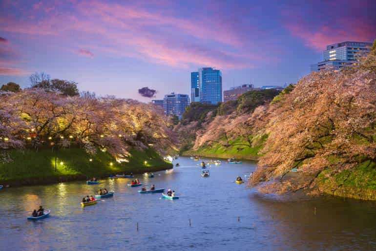 chidorigafuchi moat chiyoda cherry GettyImages 1306110322 770x514 1