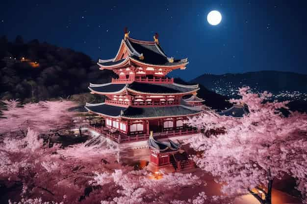 night view toji temple pagoda giant sakura tree blossom kyoto japan 564714 9176