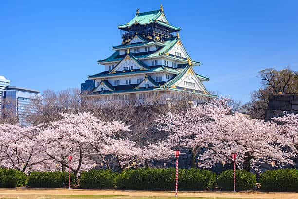 osaka castle in cherry blossom season osaka japan