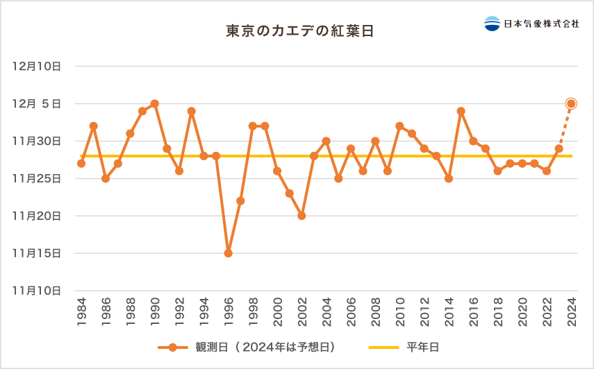 東京紅葉
